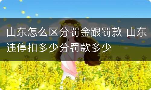 山东怎么区分罚金跟罚款 山东违停扣多少分罚款多少