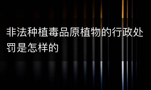非法种植毒品原植物的行政处罚是怎样的