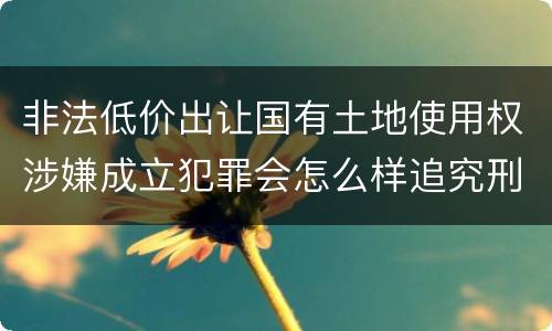 非法低价出让国有土地使用权涉嫌成立犯罪会怎么样追究刑事责任