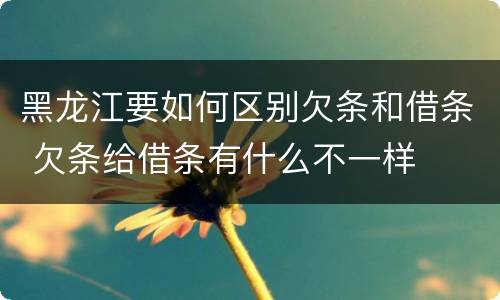 黑龙江要如何区别欠条和借条 欠条给借条有什么不一样