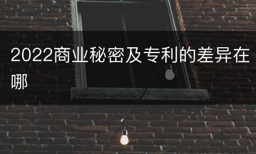 2022商业秘密及专利的差异在哪