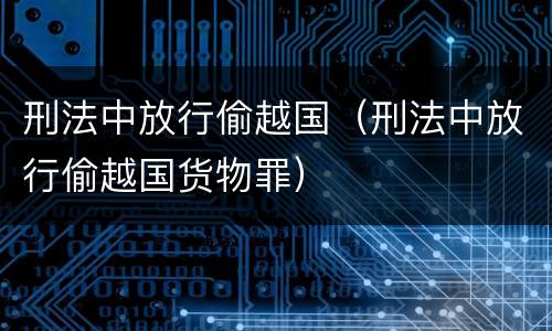 刑法中放行偷越国（刑法中放行偷越国货物罪）