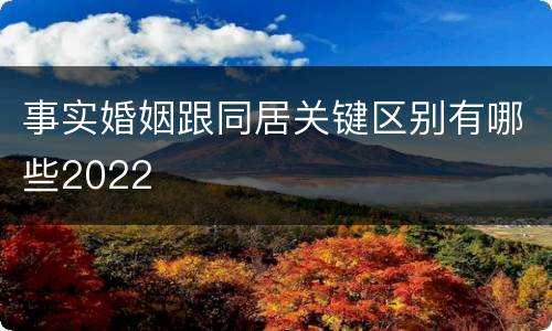 事实婚姻跟同居关键区别有哪些2022