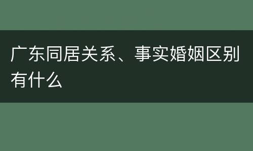 广东同居关系、事实婚姻区别有什么