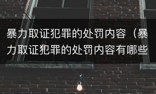 暴力取证犯罪的处罚内容（暴力取证犯罪的处罚内容有哪些）