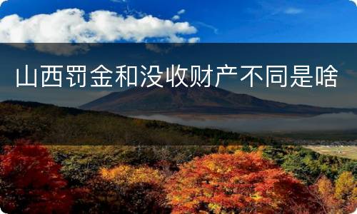 山西罚金和没收财产不同是啥