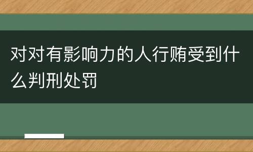 对对有影响力的人行贿受到什么判刑处罚