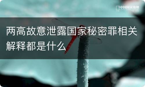 两高故意泄露国家秘密罪相关解释都是什么