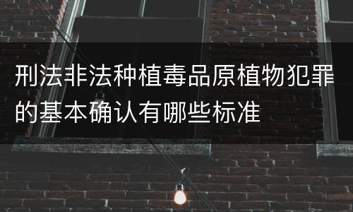 刑法非法种植毒品原植物犯罪的基本确认有哪些标准