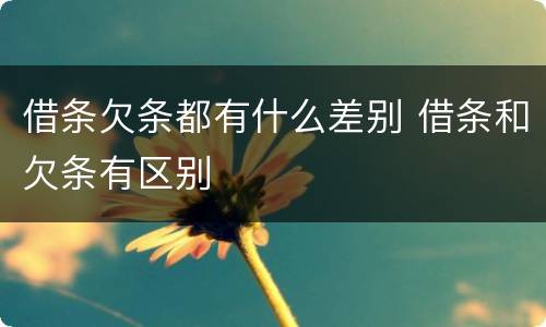 借条欠条都有什么差别 借条和欠条有区别