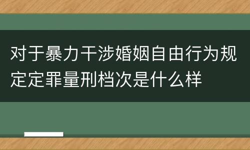 对于暴力干涉婚姻自由行为规定定罪量刑档次是什么样