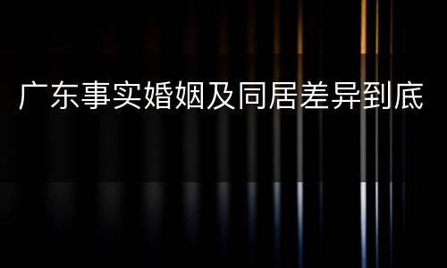 广东事实婚姻及同居差异到底