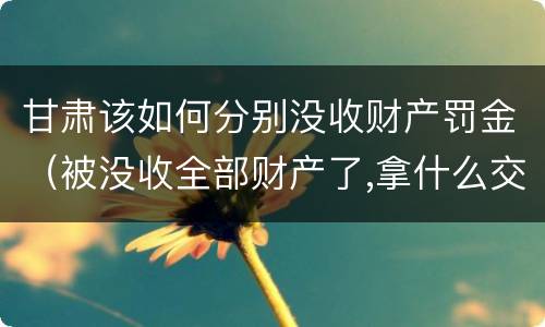 甘肃该如何分别没收财产罚金（被没收全部财产了,拿什么交罚金）