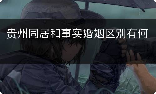 贵州同居和事实婚姻区别有何
