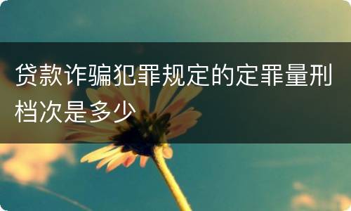 贷款诈骗犯罪规定的定罪量刑档次是多少