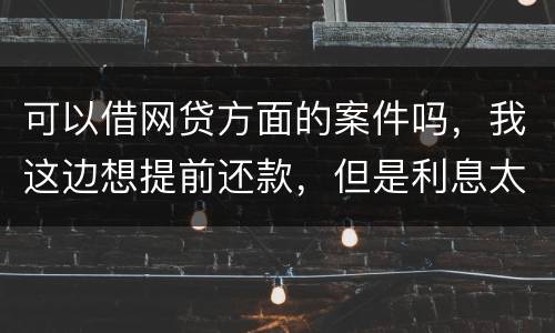可以借网贷方面的案件吗，我这边想提前还款，但是利息太高