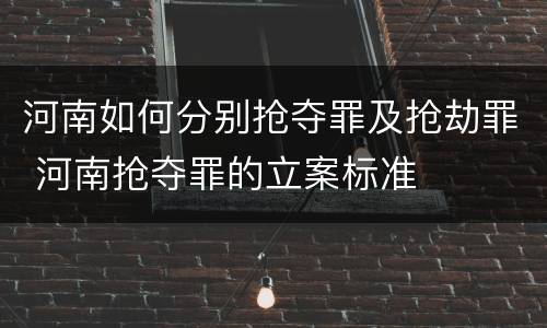 河南如何分别抢夺罪及抢劫罪 河南抢夺罪的立案标准
