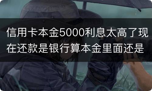 信用卡本金5000利息太高了现在还款是银行算本金里面还是算利息里面
