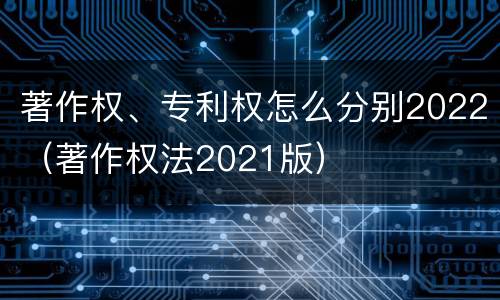 著作权、专利权怎么分别2022（著作权法2021版）