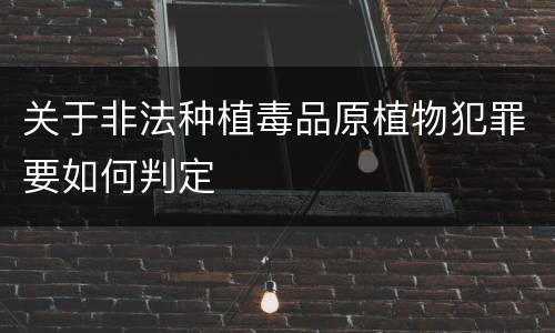 关于非法种植毒品原植物犯罪要如何判定