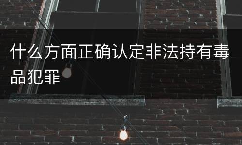 什么方面正确认定非法持有毒品犯罪