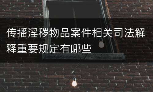 传播淫秽物品案件相关司法解释重要规定有哪些