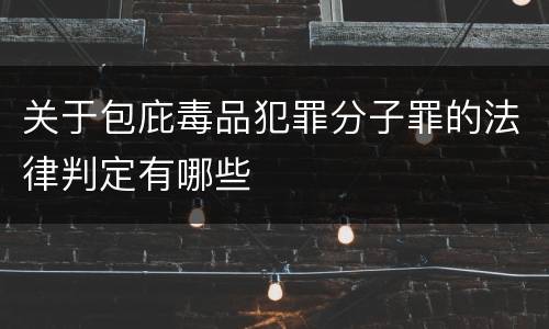 关于包庇毒品犯罪分子罪的法律判定有哪些