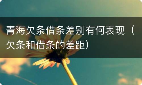 青海欠条借条差别有何表现（欠条和借条的差距）
