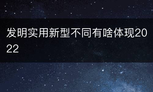 发明实用新型不同有啥体现2022