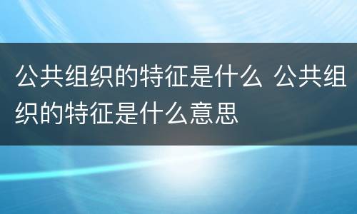 公共组织的特征是什么 公共组织的特征是什么意思