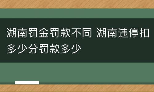 湖南罚金罚款不同 湖南违停扣多少分罚款多少