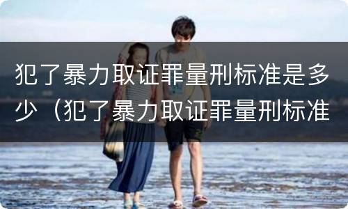 犯了暴力取证罪量刑标准是多少（犯了暴力取证罪量刑标准是多少年）