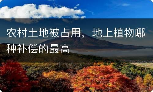 农村土地被占用，地上植物哪种补偿的最高