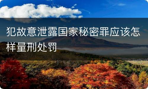 犯故意泄露国家秘密罪应该怎样量刑处罚