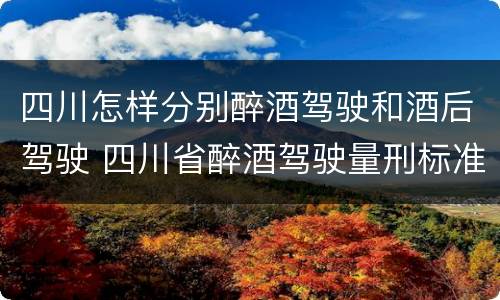 四川怎样分别醉酒驾驶和酒后驾驶 四川省醉酒驾驶量刑标准