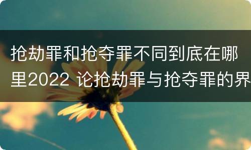 抢劫罪和抢夺罪不同到底在哪里2022 论抢劫罪与抢夺罪的界限
