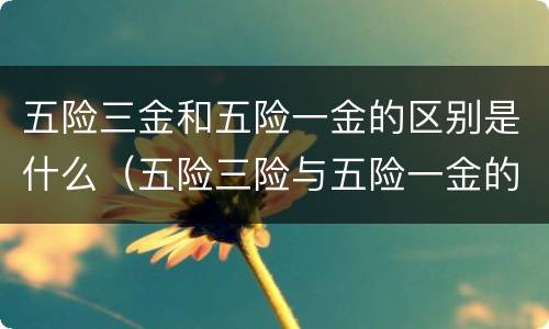 五险三金和五险一金的区别是什么（五险三险与五险一金的区别）