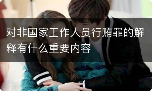 对非国家工作人员行贿罪的解释有什么重要内容