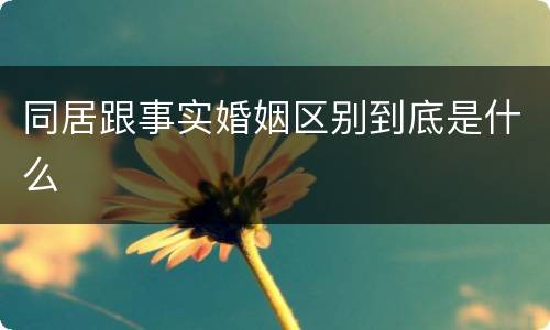 同居跟事实婚姻区别到底是什么
