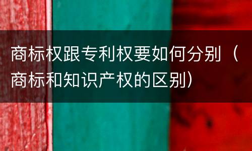 商标权跟专利权要如何分别（商标和知识产权的区别）