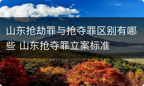 山东抢劫罪与抢夺罪区别有哪些 山东抢夺罪立案标准