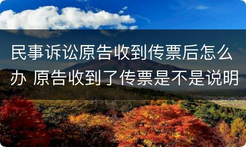 民事诉讼原告收到传票后怎么办 原告收到了传票是不是说明被告已经收到了传票了