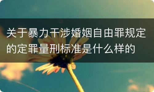 关于暴力干涉婚姻自由罪规定的定罪量刑标准是什么样的