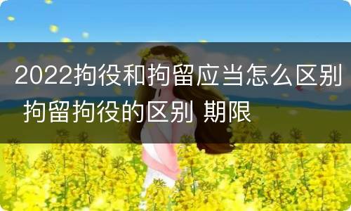 2022拘役和拘留应当怎么区别 拘留拘役的区别 期限