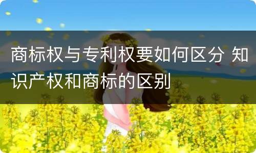 商标权与专利权要如何区分 知识产权和商标的区别