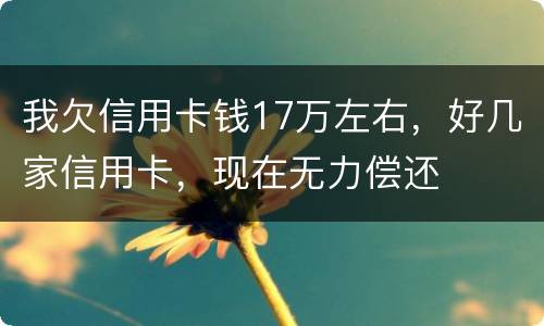 我欠信用卡钱17万左右，好几家信用卡，现在无力偿还