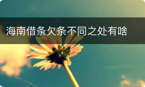 海南借条欠条不同之处有啥