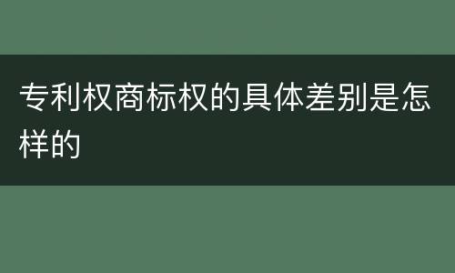 专利权商标权的具体差别是怎样的