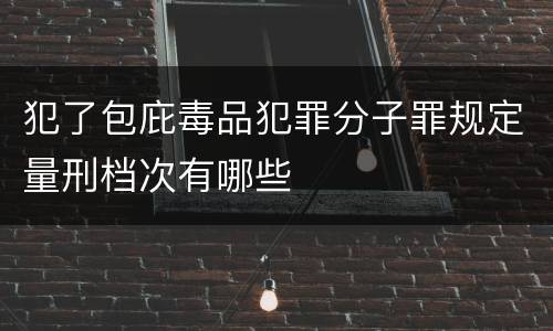 犯了包庇毒品犯罪分子罪规定量刑档次有哪些