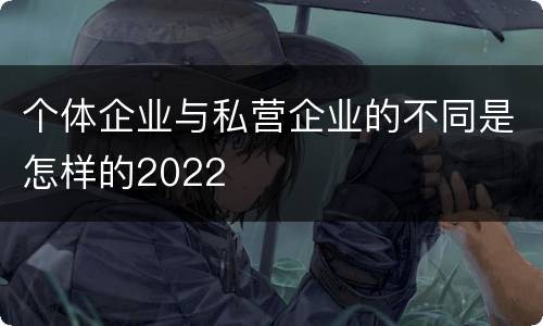 个体企业与私营企业的不同是怎样的2022